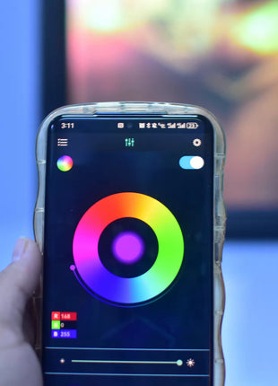 RGB LED acrylic lightbox frame shown with phone app control for color and brightness adjustments, Snapping Turtle Gallery.