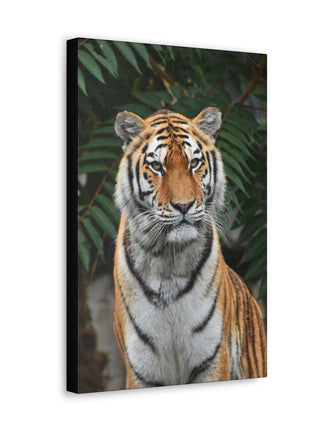 Regal Stride – Prideful Tiger Wall Art | STG Collection - Snapping Turtle Gallery