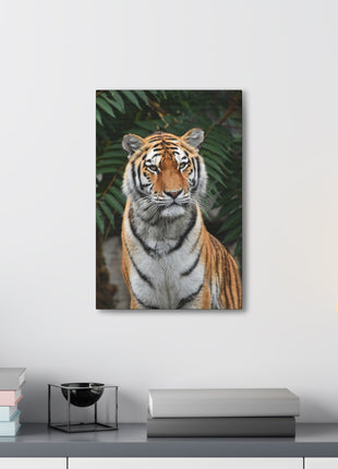 Regal Stride – Prideful Tiger Wall Art | STG Collection - Snapping Turtle Gallery