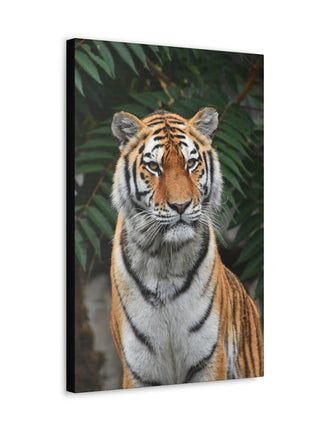 Regal Stride – Prideful Tiger Wall Art | STG Collection - Snapping Turtle Gallery