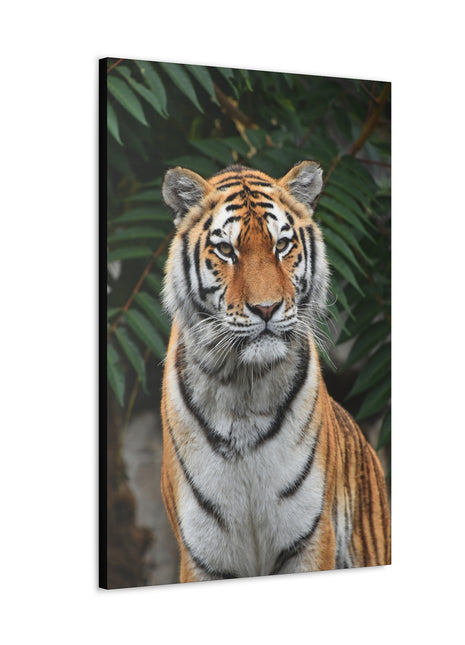 Regal Stride – Prideful Tiger Wall Art | STG Collection - Snapping Turtle Gallery