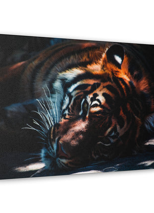 Resting Power – Tiger Laying Down Wall Art | STG Collection - Snapping Turtle Gallery