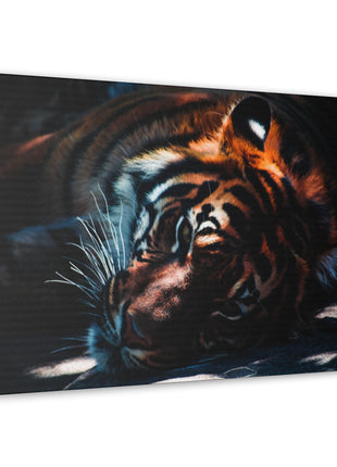 Resting Power – Tiger Laying Down Wall Art | STG Collection - Snapping Turtle Gallery