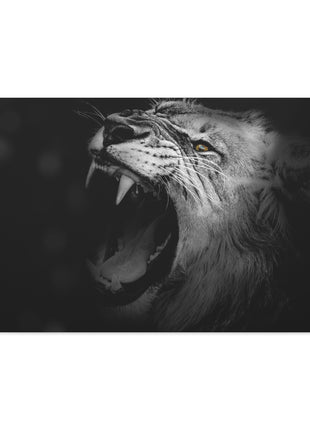 Roaring Legacy – Black and White Lion Wall Art | STG Collection - Snapping Turtle Gallery