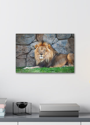 Serenity of the Wild – Lion Resting in the Grass Wall Art | STG Collection [variant_option1] Print, Premium Wall Art by Snapping Turtle Gallery