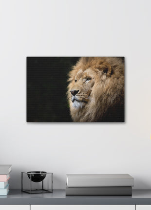 Lion Art | Acrylic, Metal & Canvas - Snapping Turtle Gallery