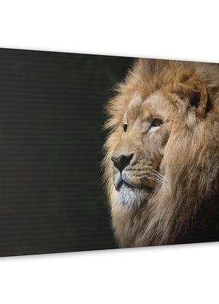 Lion Art | Acrylic, Metal & Canvas - Snapping Turtle Gallery