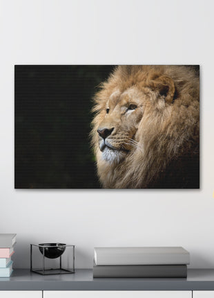 Lion Art | Acrylic, Metal & Canvas - Snapping Turtle Gallery