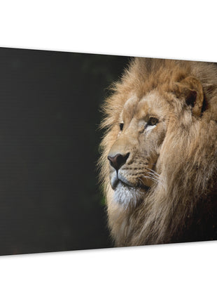 Lion Art | Acrylic, Metal & Canvas - Snapping Turtle Gallery