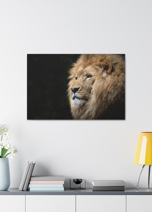 Lion Art | Acrylic, Metal & Canvas - Snapping Turtle Gallery