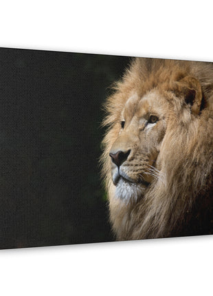 Lion Art | Acrylic, Metal & Canvas - Snapping Turtle Gallery