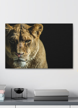 Lioness Art | Acrylic, Metal & Canvas - Snapping Turtle Gallery