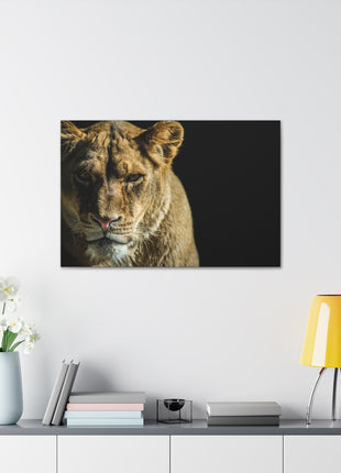 Lioness Art | Acrylic, Metal & Canvas - Snapping Turtle Gallery