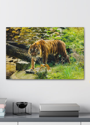 Silent Predator – Tiger Drinking in the Grass Wall Art | STG Collection - Snapping Turtle Gallery