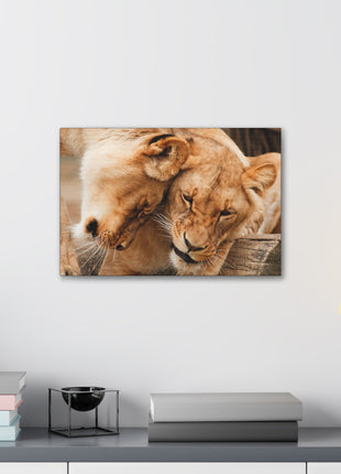 Sisterhood of the Wild – Lioness Bond Wall Art | STG Collection - Snapping Turtle Gallery
