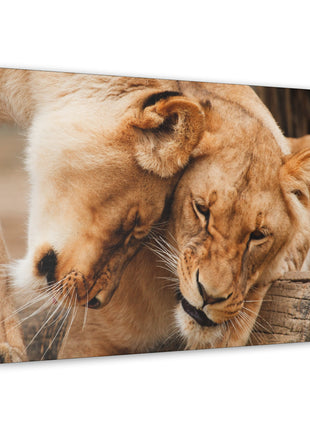 Sisterhood of the Wild – Lioness Bond Wall Art | STG Collection - Snapping Turtle Gallery