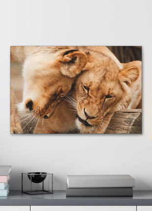 Sisterhood of the Wild – Lioness Bond Wall Art | STG Collection - Snapping Turtle Gallery