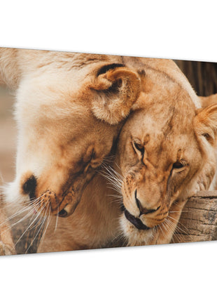 Sisterhood of the Wild – Lioness Bond Wall Art | STG Collection - Snapping Turtle Gallery