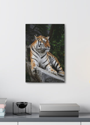 Stone Throne – Tiger Resting on a Rock Wall Art | STG Collection - Snapping Turtle Gallery