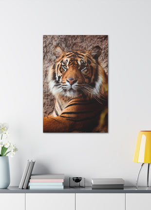 Untamed Grace – Majestic Tiger Wall Art | STG Collection - Snapping Turtle Gallery