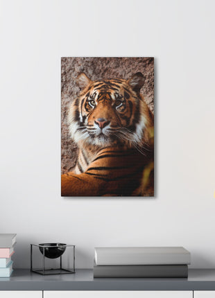 Untamed Grace – Majestic Tiger Wall Art | STG Collection - Snapping Turtle Gallery