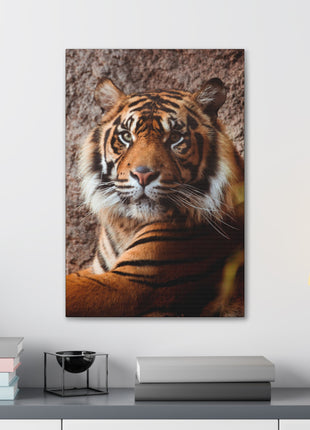 Untamed Grace – Majestic Tiger Wall Art | STG Collection - Snapping Turtle Gallery