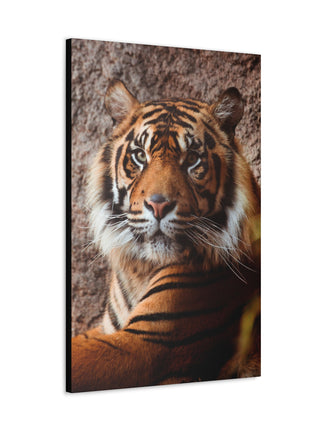 Untamed Grace – Majestic Tiger Wall Art | STG Collection - Snapping Turtle Gallery