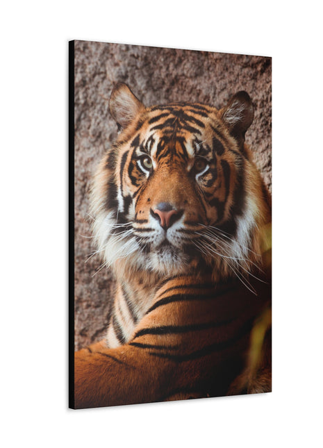 Untamed Grace – Majestic Tiger Wall Art | STG Collection - Snapping Turtle Gallery