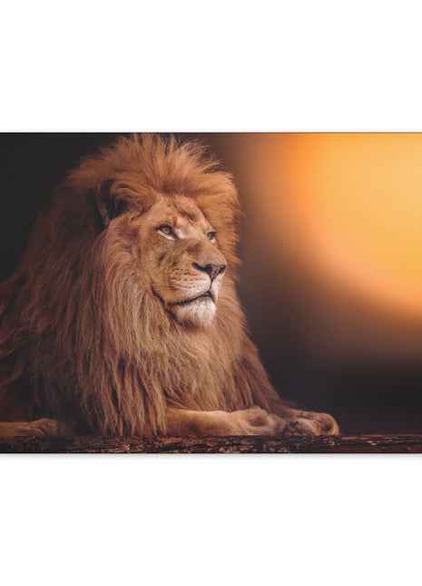  [variant_option1] Print, Premium Wall Art by Snapping Turtle Gallery