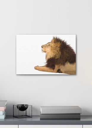 Lion Art | Acrylic, Metal & Canvas - Snapping Turtle Gallery