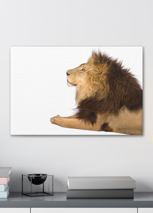 Lion Art | Acrylic, Metal & Canvas - Snapping Turtle Gallery