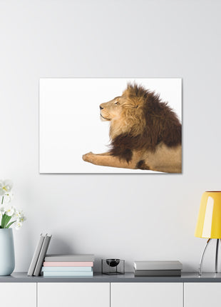 Lion Art | Acrylic, Metal & Canvas - Snapping Turtle Gallery