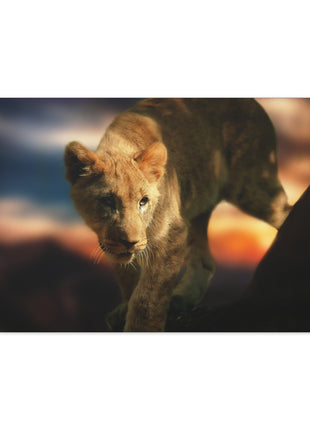 Young Majesty – Regal Young Lion Wall Art | STG Collection - Snapping Turtle Gallery