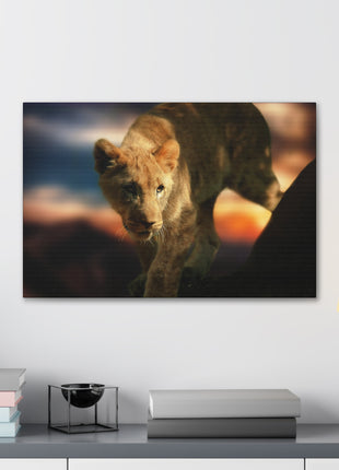 Young Majesty – Regal Young Lion Wall Art | STG Collection - Snapping Turtle Gallery