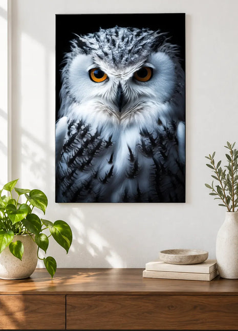 Orange-Eyed White Owl Wall Art, shown as frameless acrylic artwork above a walnut console against a white wall.