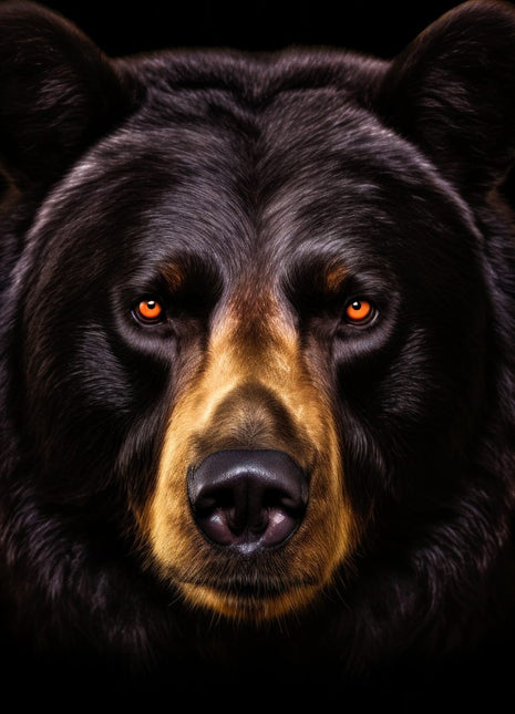 Black bear facing forward with golden-brown muzzle, warm eyes, rounded ears and dark fur on black.
