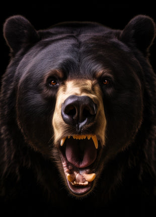 Black bear facing forward with open mouth, visible teeth, golden-brown muzzle and dark fur against black.