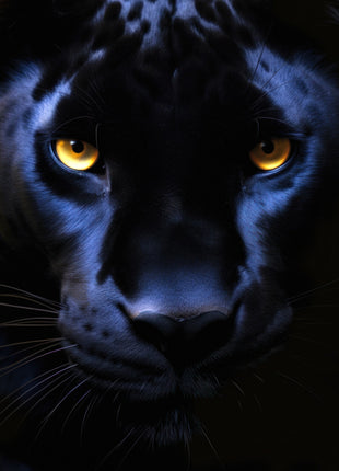 Close-up black panther face with cobalt-blue highlights, amber eyes and faint coat markings against black.