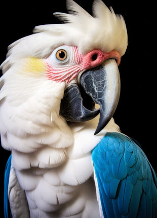 Stylized crested parrot with white head and chest, blue wing, pink eye patch and black beak.