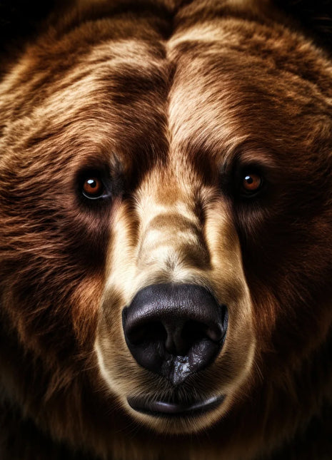 Close-up brown bear with dense warm fur, pale muzzle stripe and glossy black nose against black.