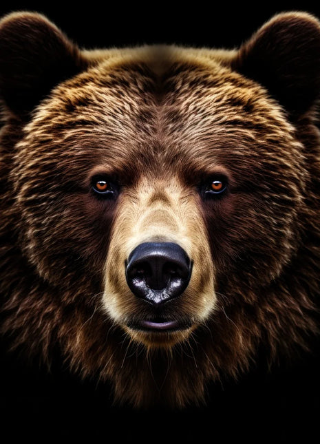 Brown bear facing forward with rounded ears, pale muzzle and golden fur highlights against black.