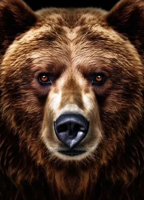 Brown bear facing forward with rounded ears, a pale golden muzzle and richly textured brown fur on black.