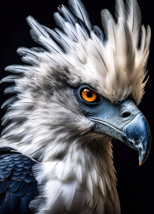 Crested raptor with silver-white head feathers, orange eye and blue-gray hooked beak against black.