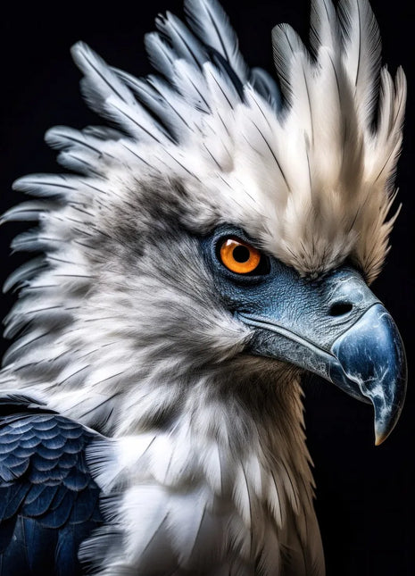 Crested raptor with silver-white head feathers, orange eye and blue-gray hooked beak against black.