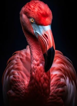 Crimson flamingo with bowed head, red-and-black curved bill and layered pink feathers against black.