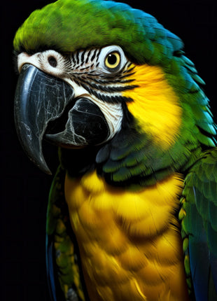Green-and-blue parrot with yellow chest, black facial lines and a large dark beak.