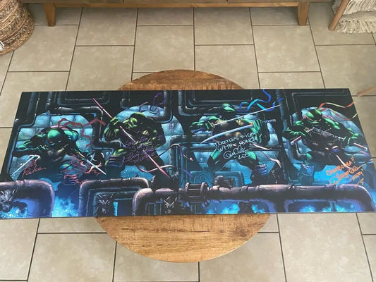 16*36 Teenage mutant ninja turtles colored Canvas art by Jimbo Salgado signed by 90’s cartoon voice over legends - Snapping Turtle Gallery