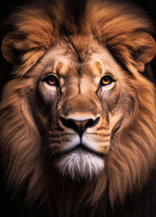 Lion portrait with wide russet-brown mane, rounded ears, pale chin and fine whiskers against black.