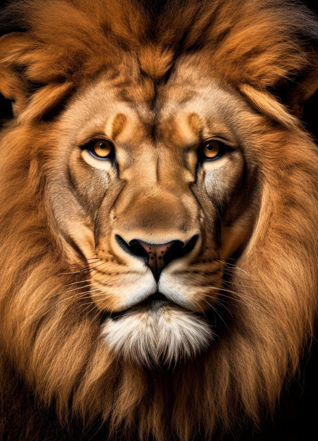 Lion facing forward with a spreading tawny mane, dark cheek markings and a white chin against black.