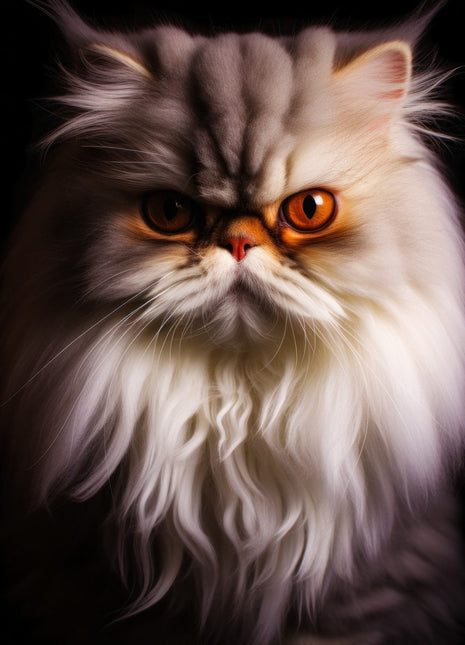 Long-haired silver-and-cream cat with amber eyes, short muzzle, forehead stripes and full pale ruff.